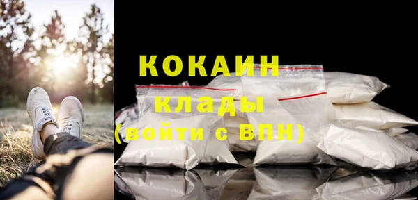 дживик Богданович